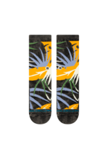Stance Stance Yacht Club - Black