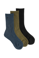 Coal Coal Everyday (3 Pack) - Fern Gully