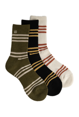 Coal Coal Everyday (3 Pack) - Iguana Dreams