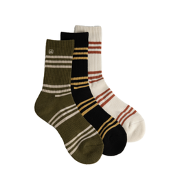Coal Coal Everyday (3 Pack) - Iguana Dreams
