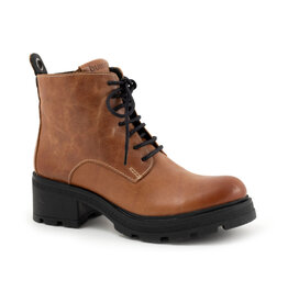 Bueno Bueno Hunter - Chestnut