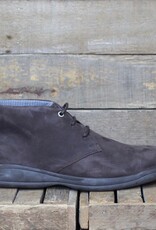 Baerchi Baerchi - Almanzor 4172 - Testa