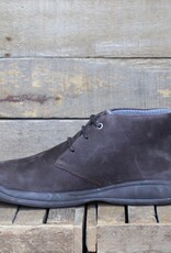 Baerchi Baerchi - Almanzor 4172 - Testa