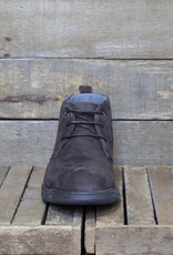 Baerchi Baerchi - Almanzor 4172 - Testa