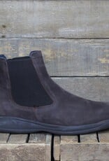 Baerchi Baerchi - Henry 3013 - Testa