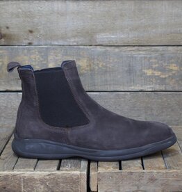 Baerchi Baerchi - Henry 3013 - Testa