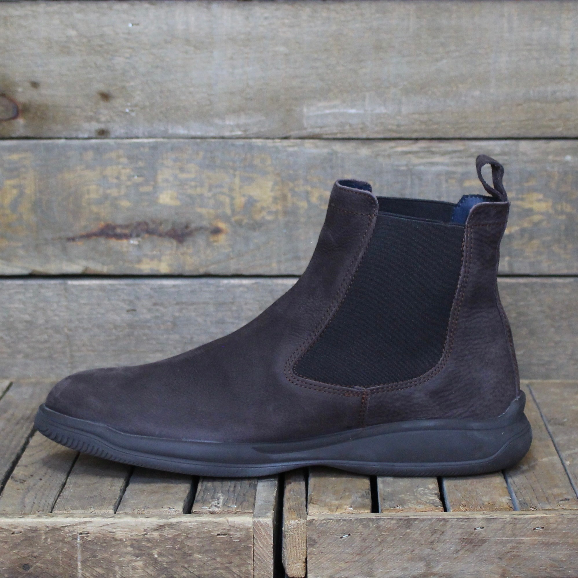 Baerchi Baerchi - Henry 3013 - Testa