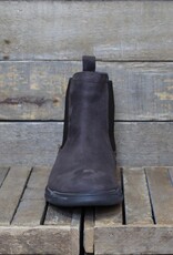 Baerchi Baerchi - Henry 3013 - Testa