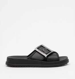 Petite Jolie Petite Jolie - Feat - Black