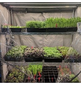 Microgreen Rack Kit