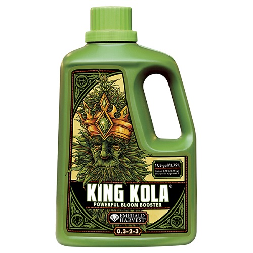 King Kola