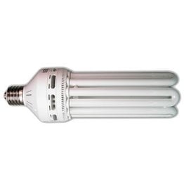 Agrobrite Bulb CFL 125W