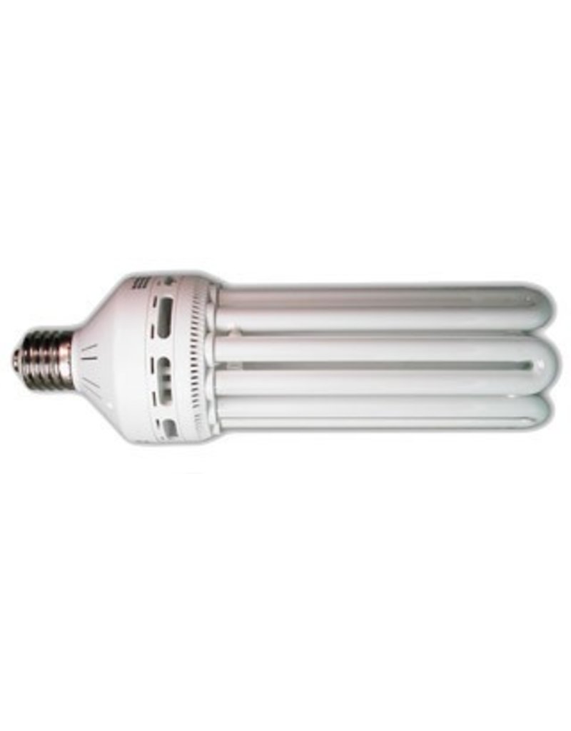 Agrobrite Bulb CFL 125W