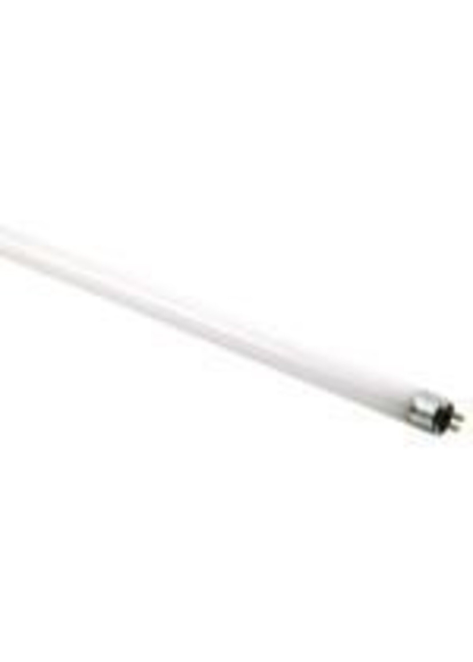 Interlux Interlux T5 HO 4FT 6500k Blue Lamp 54W