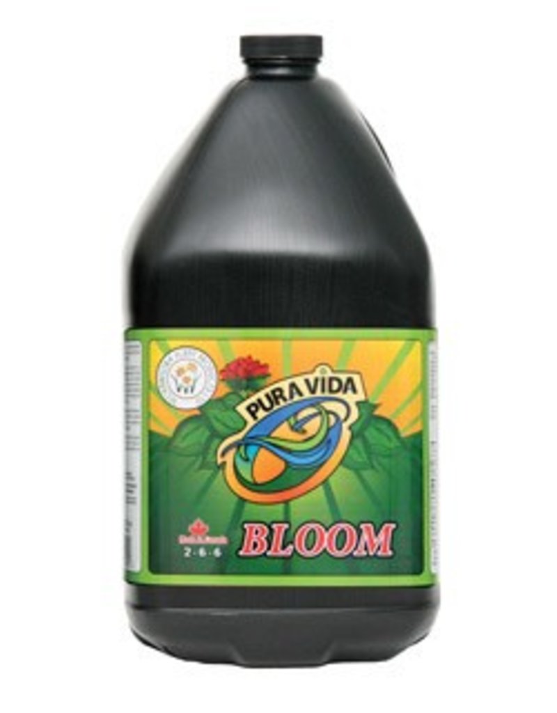 TechnaFlora Pura Vida Bloom