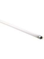 Interlux Spectralux T5 24 Watt HO Lamp 6500K 2 FT