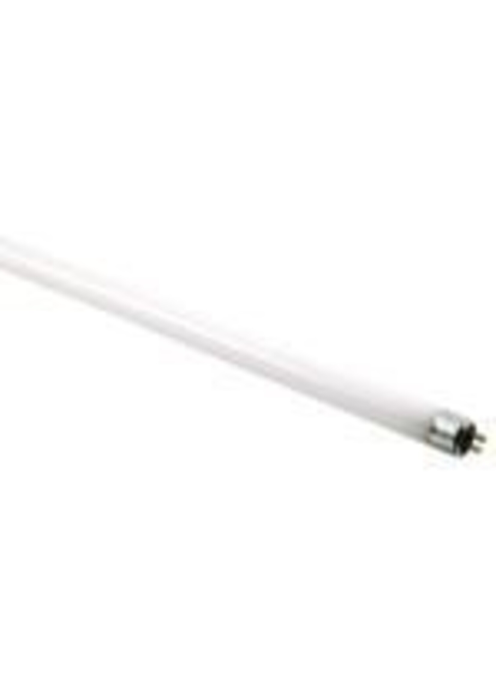 Spectralux Spectralux T5 24 Watt HO Lamp 6500K 2 FT