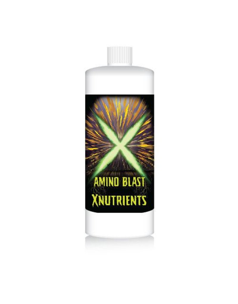 X Nutrients Amino Blast