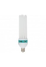 Agrobrite Bulb CFL 125W