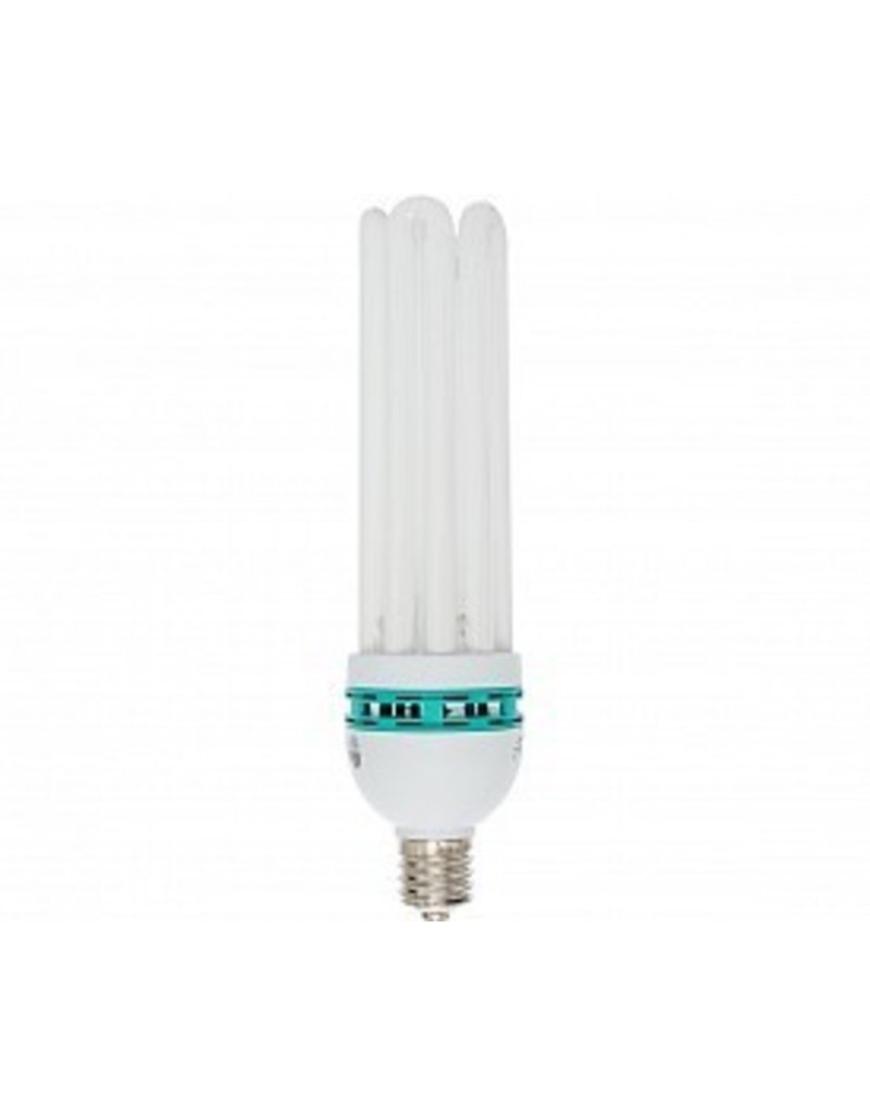 Agrobrite Bulb CFL 125W
