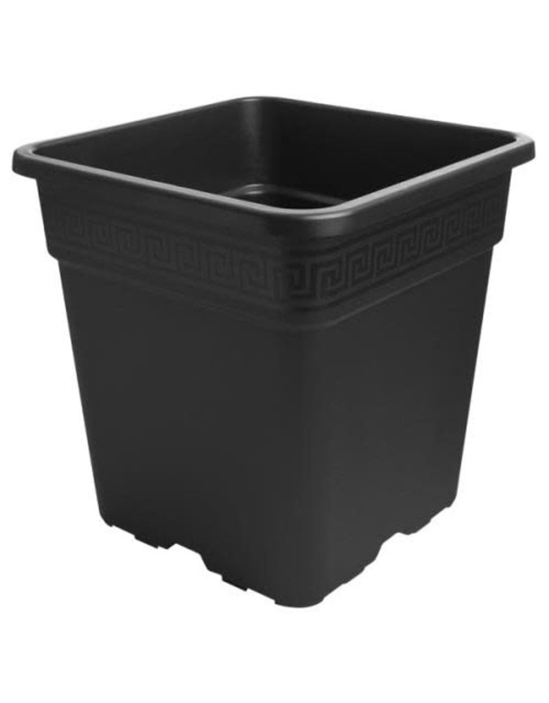 Gro Pro Premium Black Square Pot