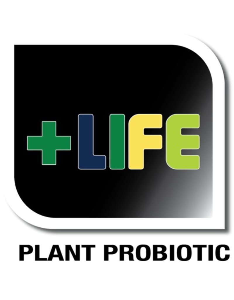 Veg+Bloom LIFE ADDITIVE