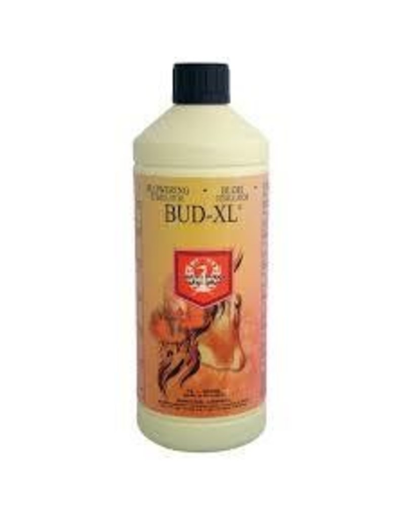 House & Garden Bud XL