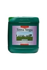 Canna Terra Vega