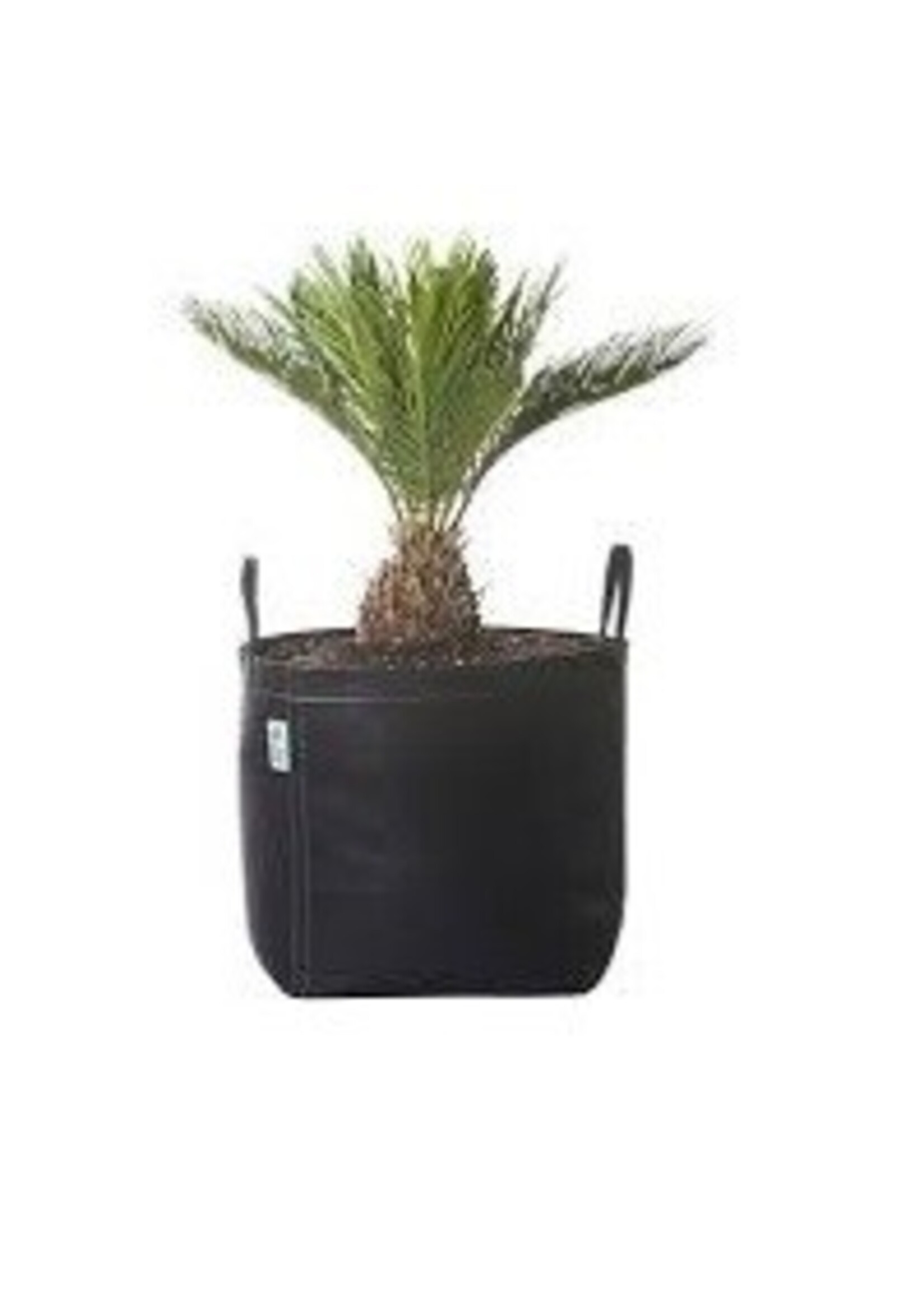Geopot G-Lite Fabric Pots w/ Handles