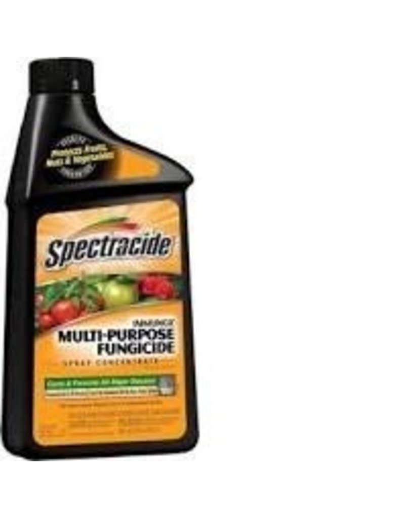 Spectracide Spectracide Fungicide Concentra