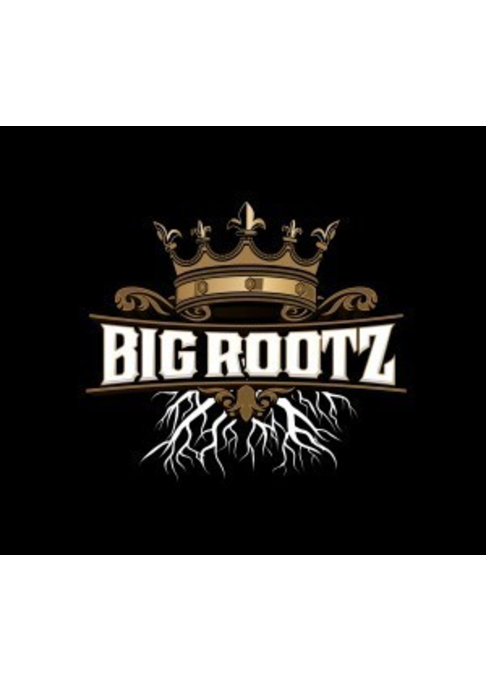 Soil King Soil King Big Rootz Soil Blend 1.5CF (60 per pallet)