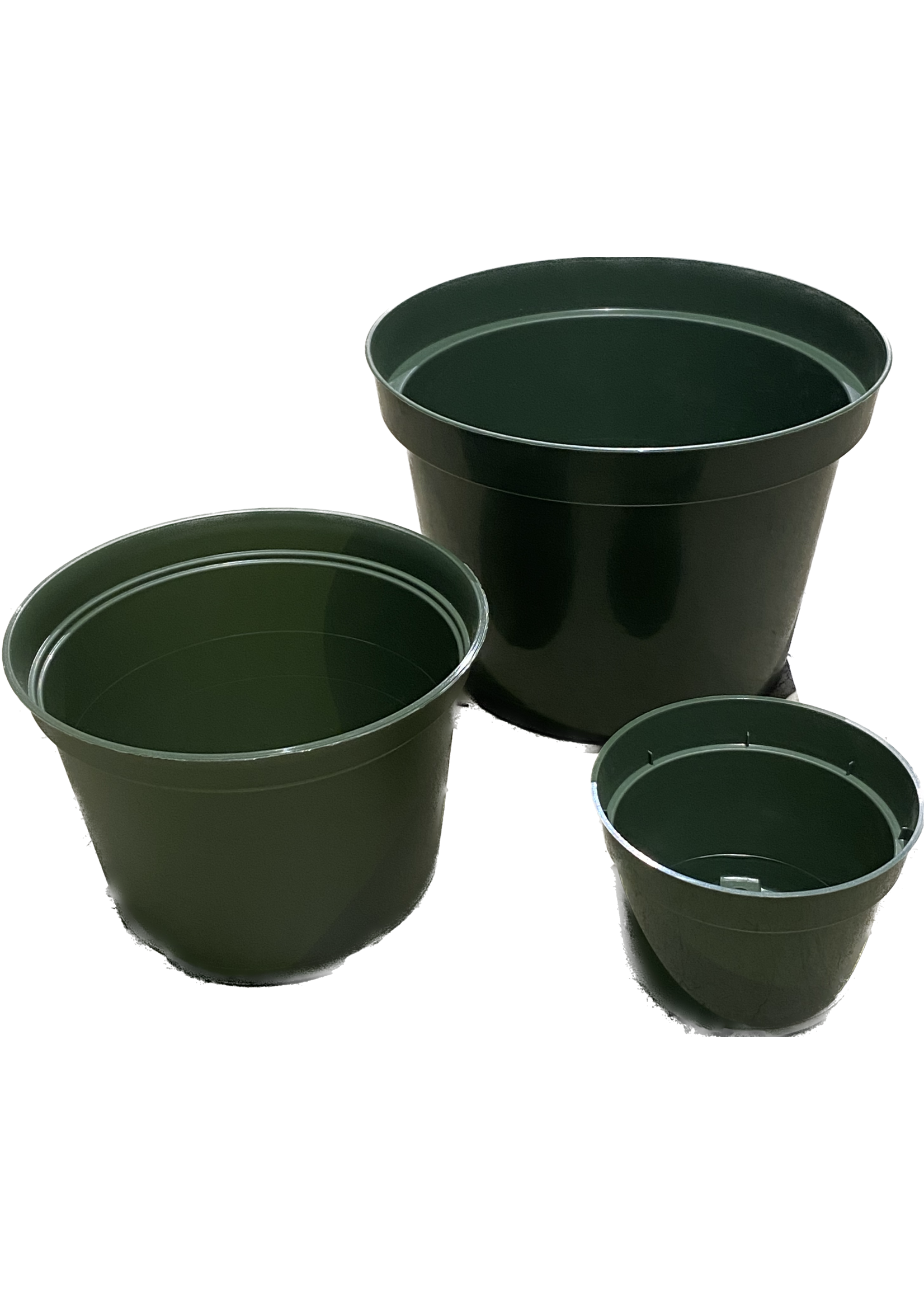 THE HC COMPANIES, INC. Green Azalea Pots