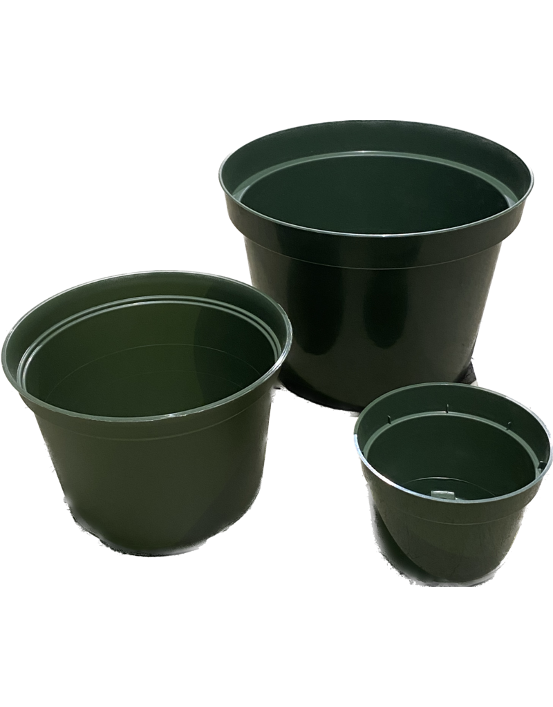 Dillen Green Azalea Pots