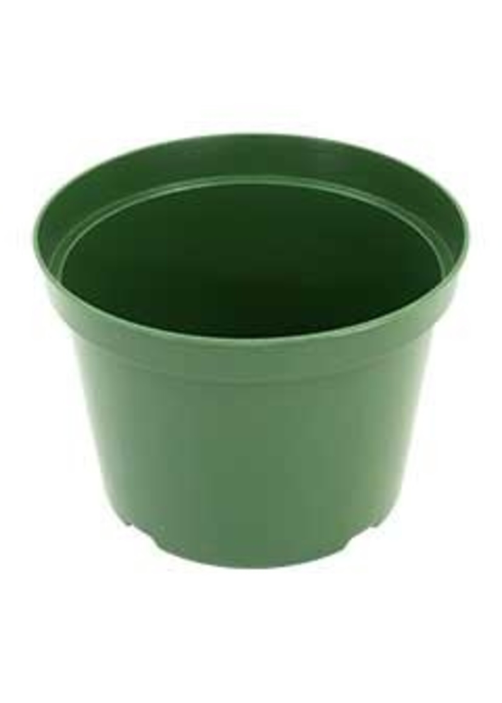 THE HC COMPANIES, INC. Green Azalea Pots