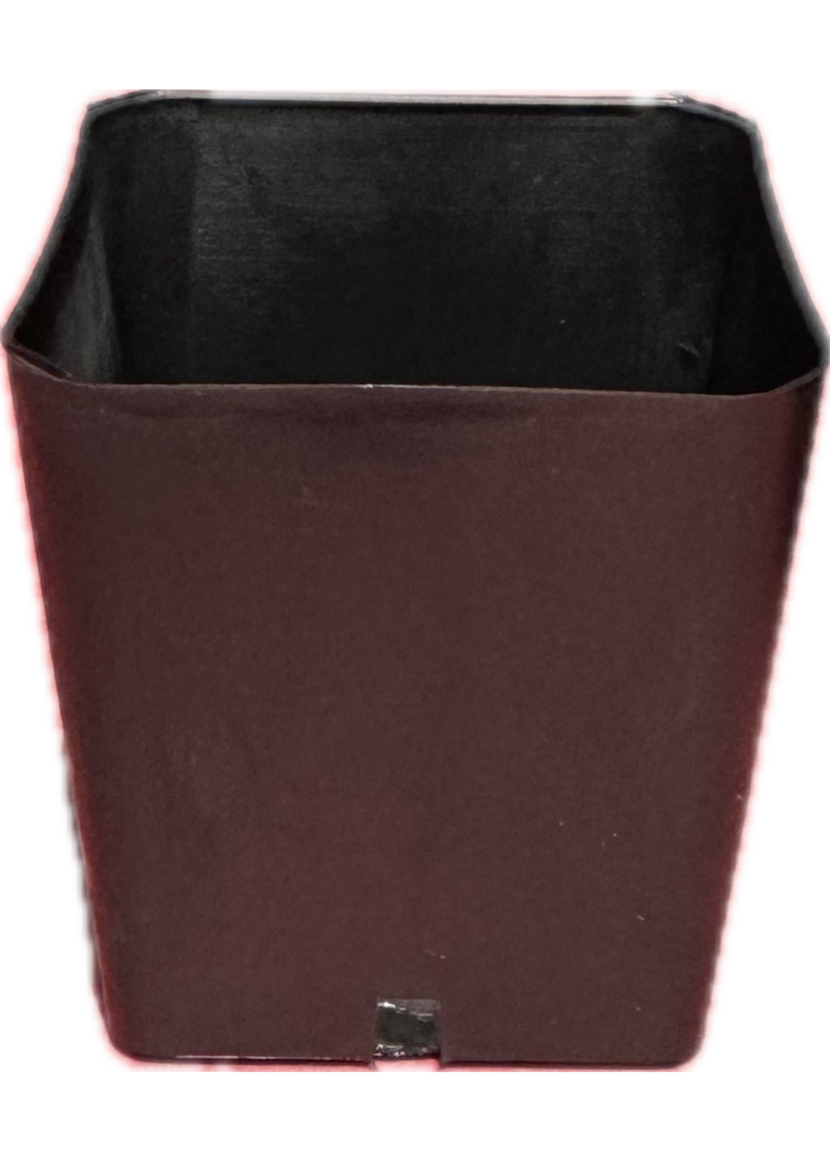 MCCONKEY COMPANY Small Square Starter Pots