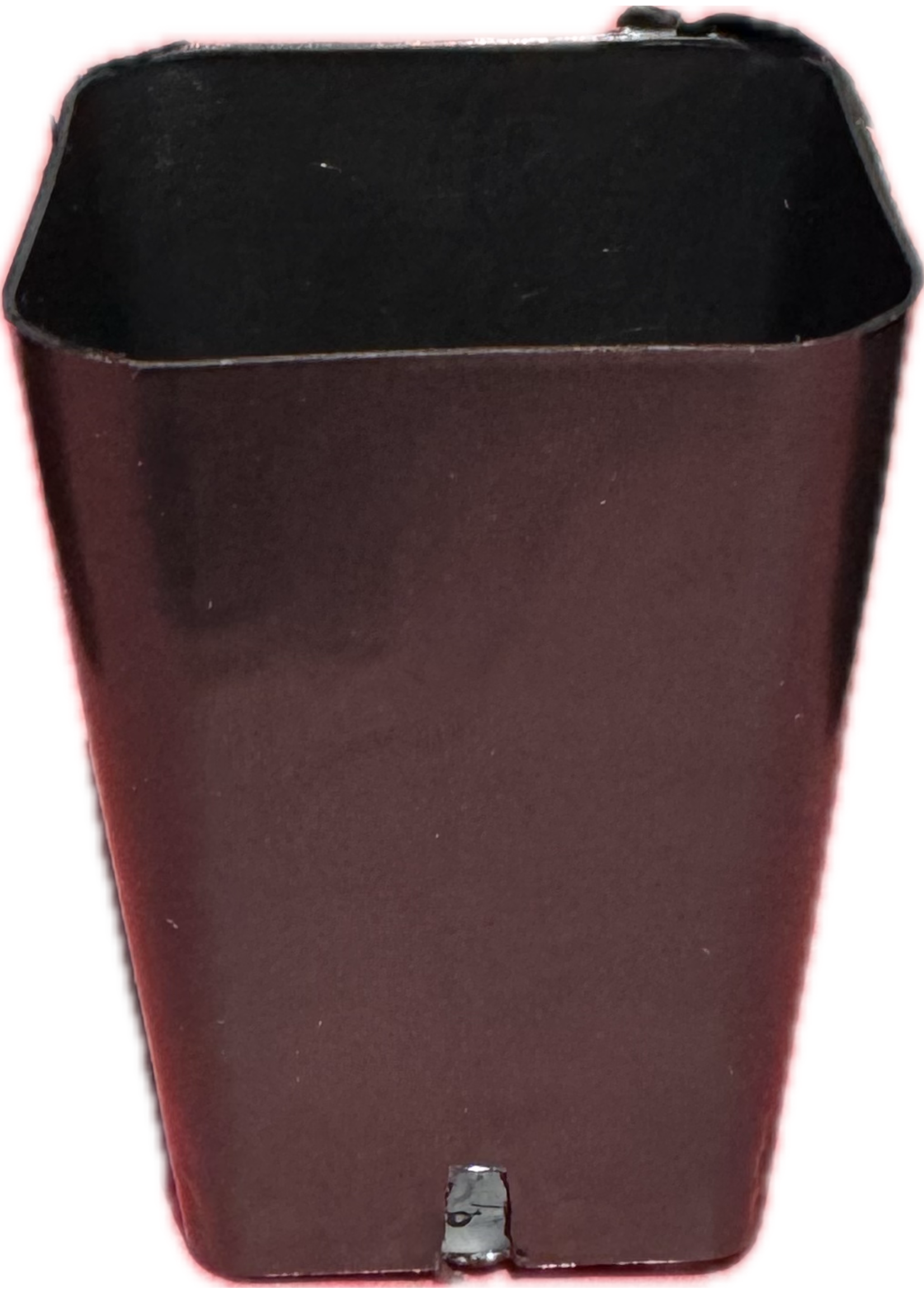 MCCONKEY COMPANY Small Square Starter Pots