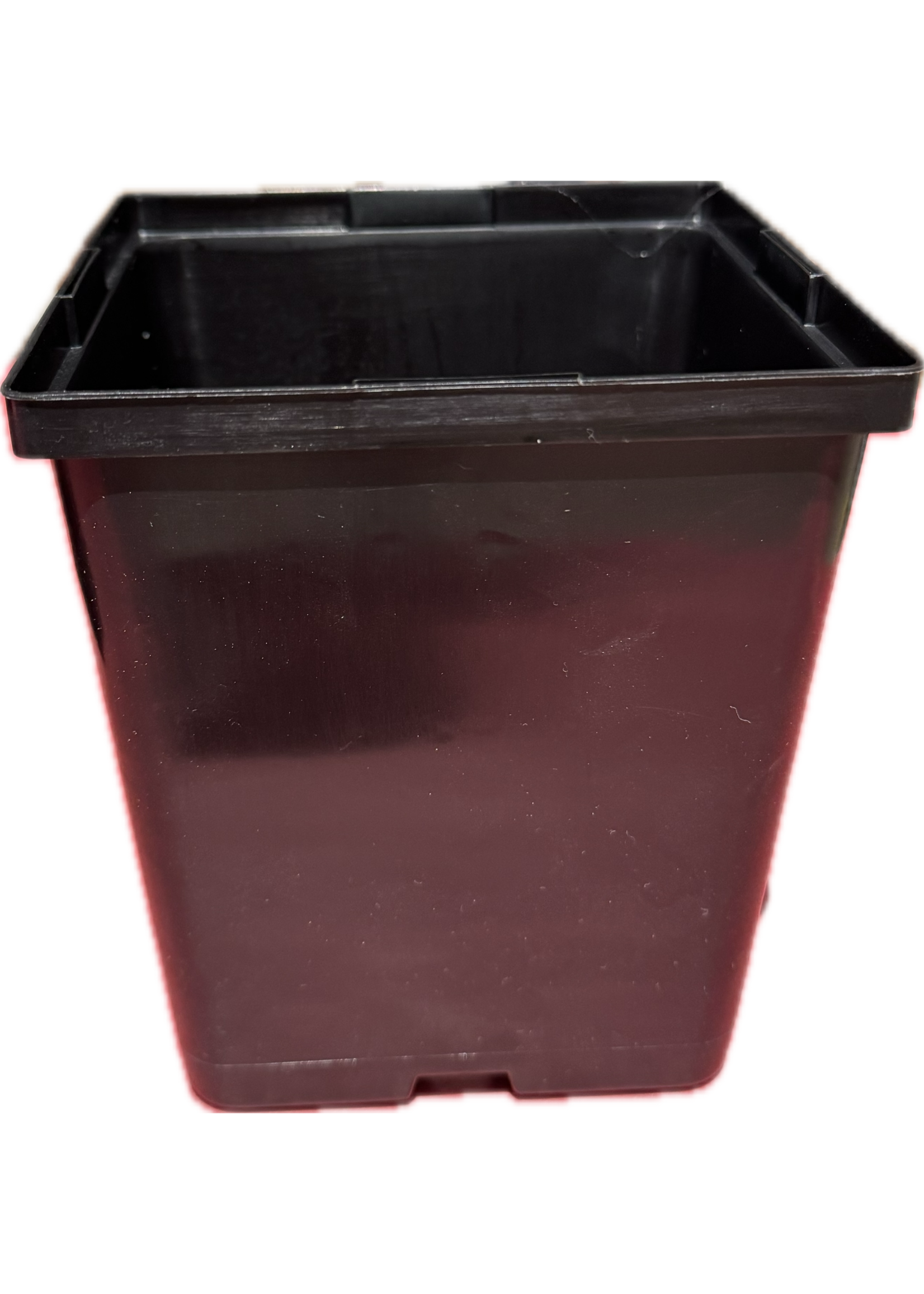 MCCONKEY COMPANY Small Square Starter Pots