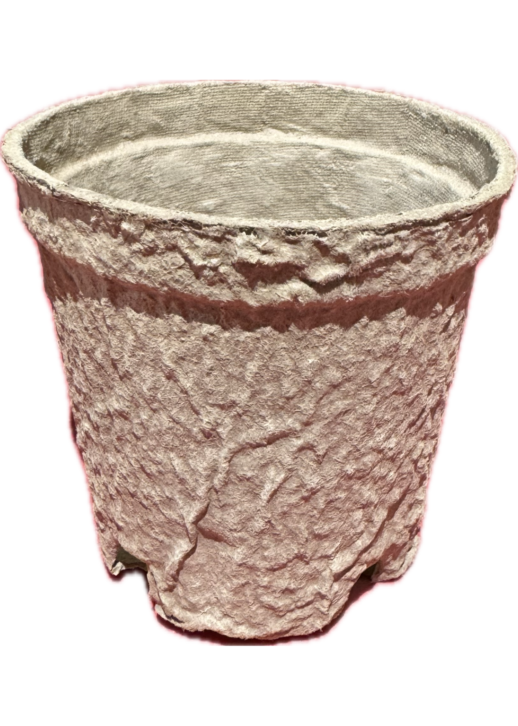 Jiffy Jiffy Pots Biodegradable Peat Pot