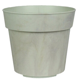 3" Biopax (set of 6) Pot in EcoGreen