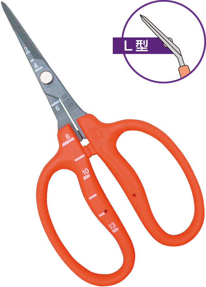 Amazon.com: Use on -site steel Mihara Sumire Graffiti Japan