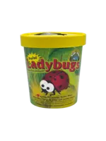 Orcon Lady Bugs Ladybugs 750 CT