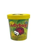 Orcon Lady Bugs 1500 CT