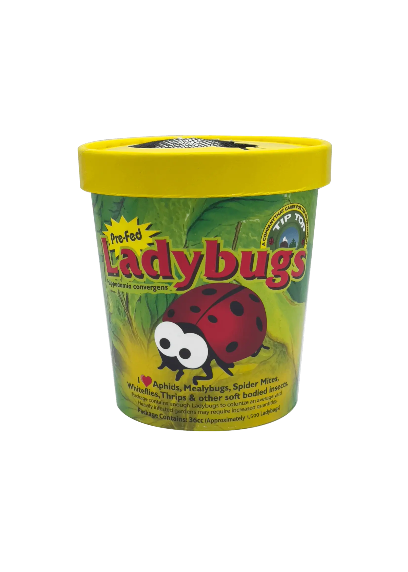 Orcon Lady Bugs Ladybugs 1500 CT