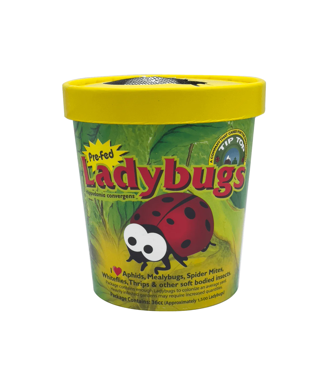Lady Bugs 750 CT - RASA Garden Supply Company