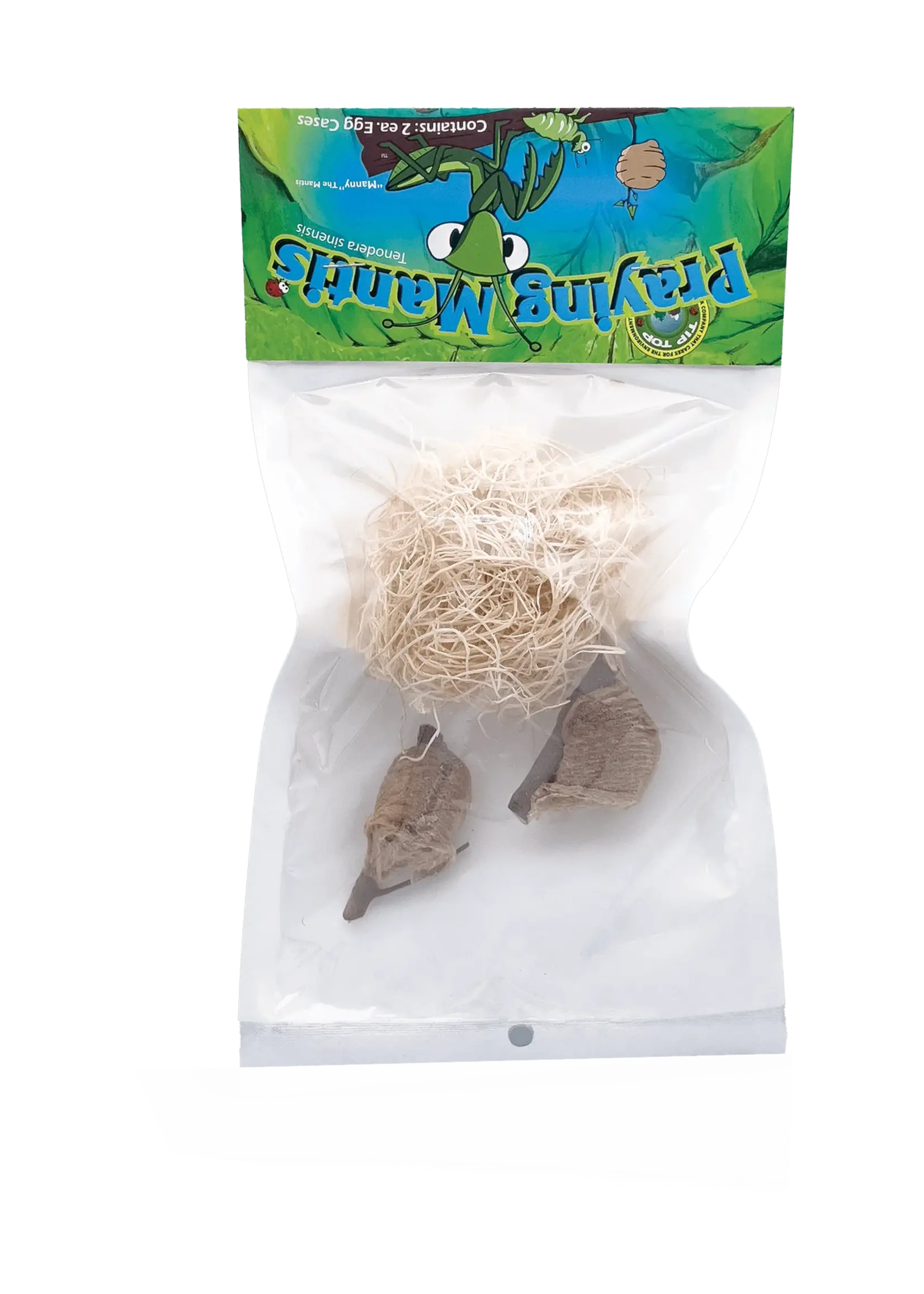 Tip Top Bio-Control Praying Mantids / Mantis Eggs 2 Count (NOV. - JUNE ONLY)