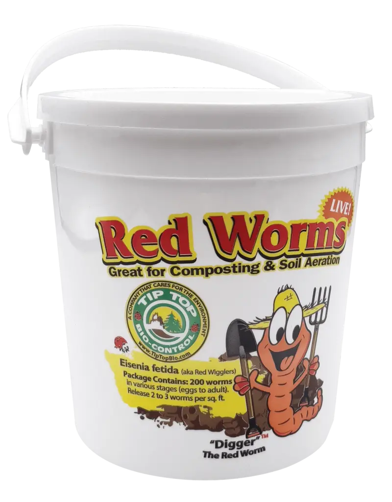Red  Worms 200 Count