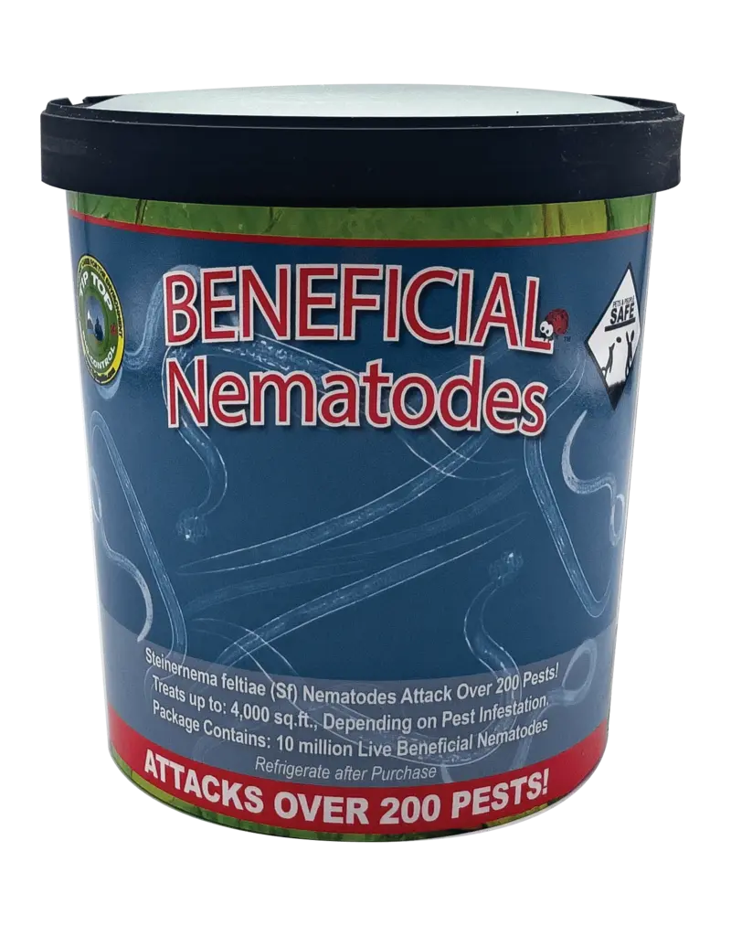 Beneficial Nematodes SF Steinernema Feltiae 10 Million with Vermiculite