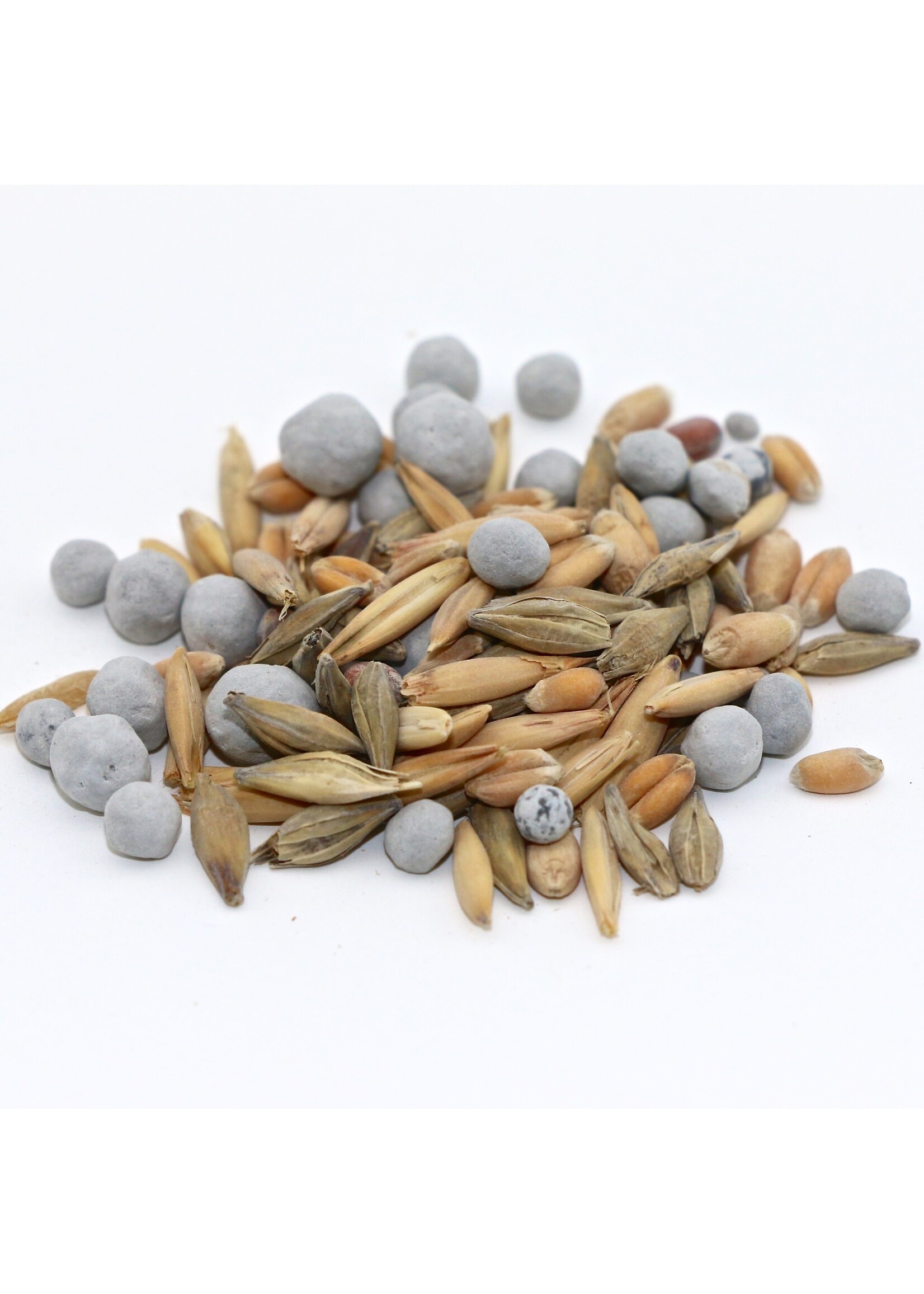 RASA Fall Cover Crop Blend Mix 40 lbs