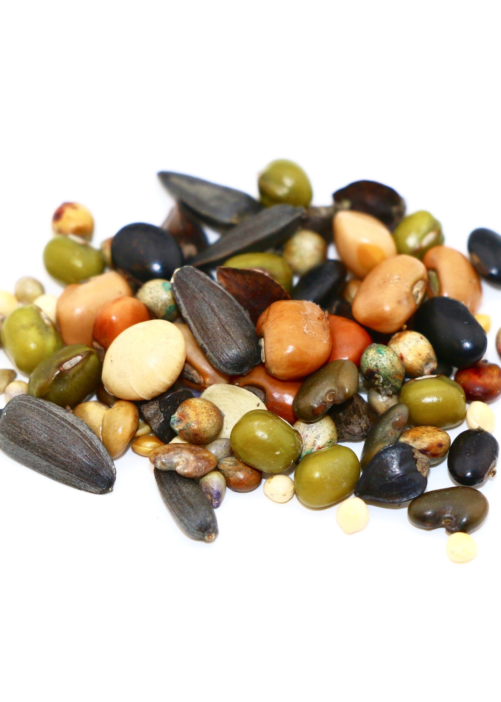 RASA Spring Cover Crop Blend Mix 40 lbs