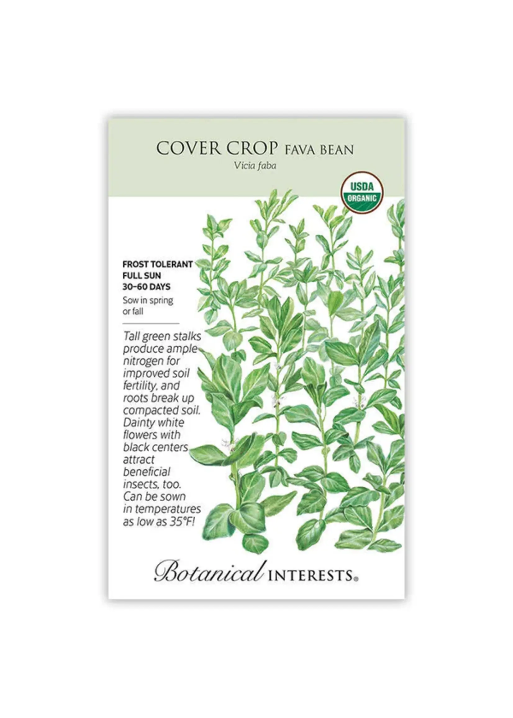 Botanical Interests Cover Crop Fava Bean Organic